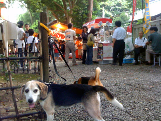 草薙神社例大祭_b0005652_18232555.jpg