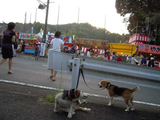 草薙神社例大祭_b0005652_18251755.jpg