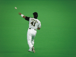 b0159557_1925132.gif