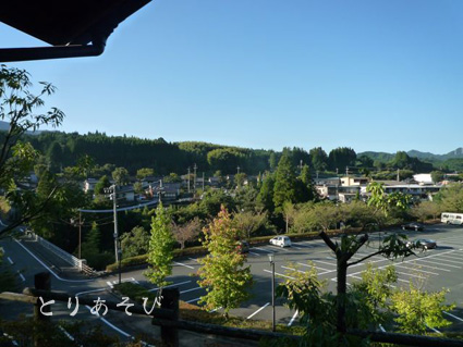 e0147757_20272829.jpg