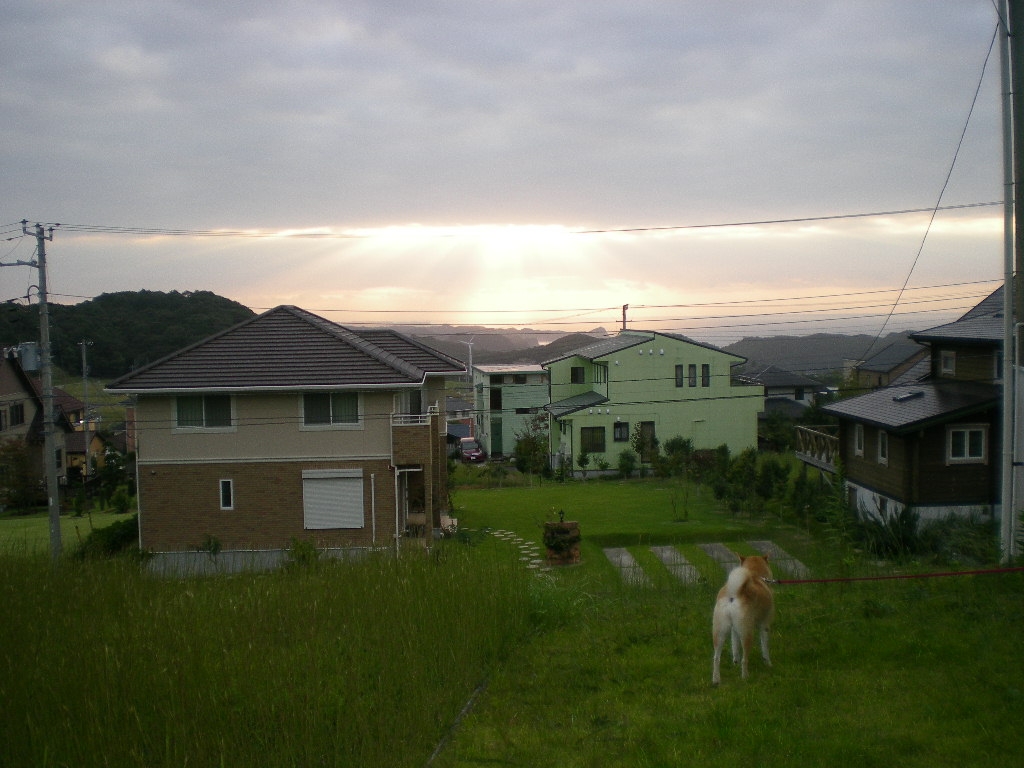 2009年9月21日(月)曼珠沙華と山里!_f0060461_15362875.jpg