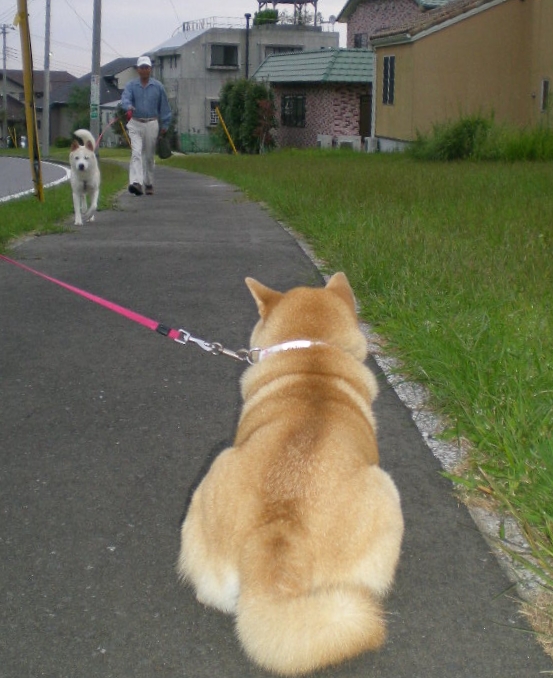 2009年9月21日(月)曼珠沙華と山里!_f0060461_15385460.jpg