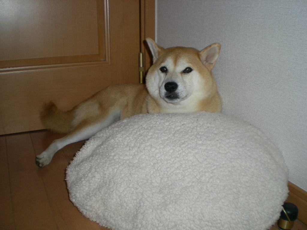 2009年9月21日(月)曼珠沙華と山里!_f0060461_15492988.jpg
