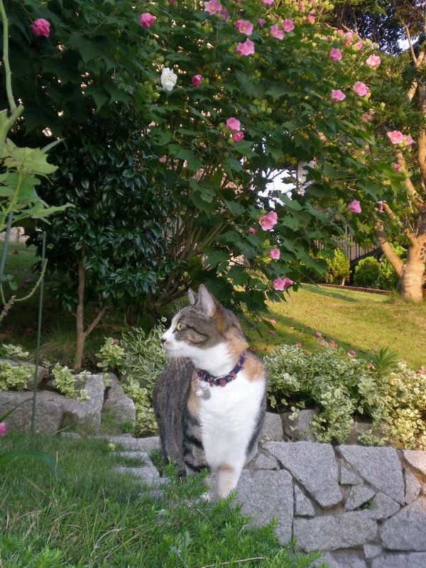 2009年9月21日(月)曼珠沙華と山里!_f0060461_163037.jpg