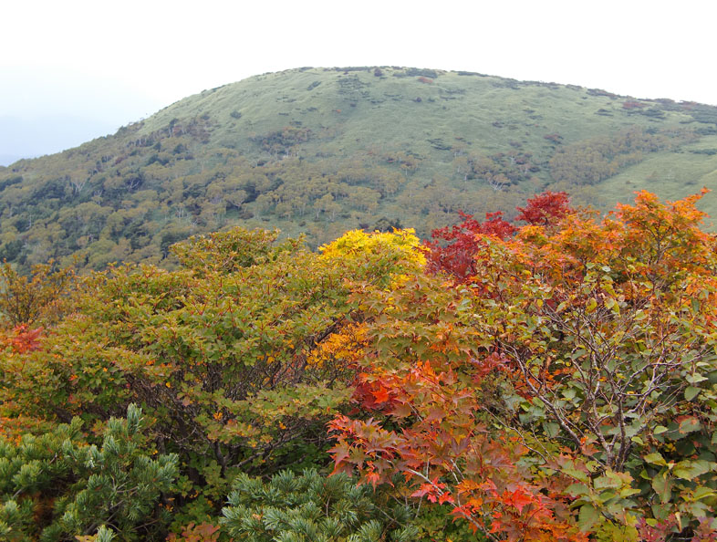 秋の那須登山〜南月山〜_a0109467_22304247.jpg