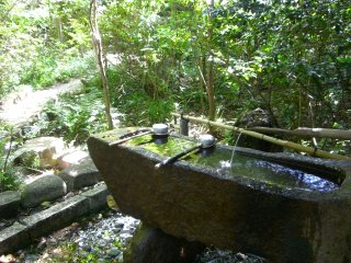b0135267_8482250.jpg