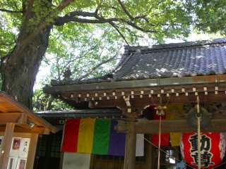 b0135267_849383.jpg