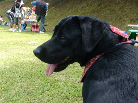 f0189870_2145519.jpg