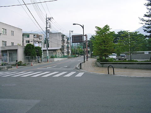 上品なスタイル 軍隊 歩兵第49 恥ずかしかっ 古硯 蓮紋 書道 16