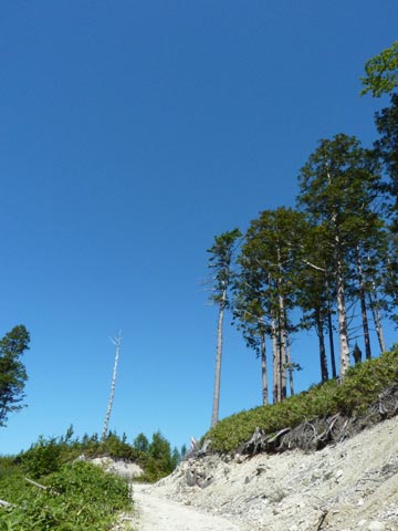 c0107075_12586.jpg