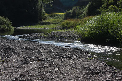 c0152779_8182649.jpg