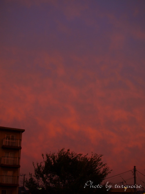 c0201284_1457363.jpg