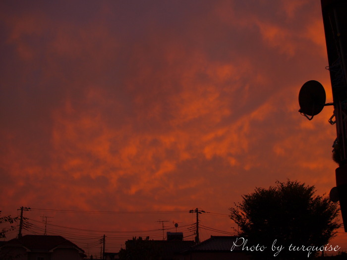 c0201284_14592037.jpg