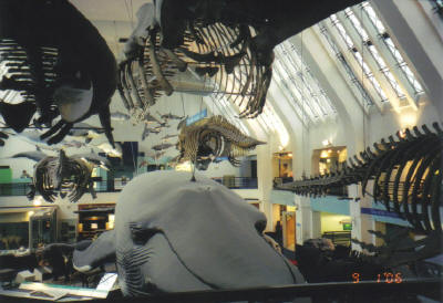 f0091785_01756100.jpg