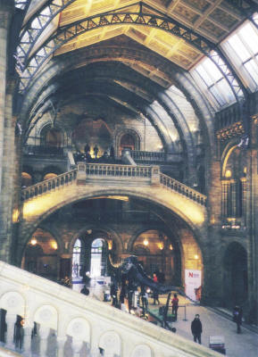 f0091785_040427.jpg