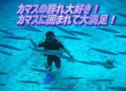 穏やか~なラチャヤイ島!でライセンス_f0144385_21225734.jpg