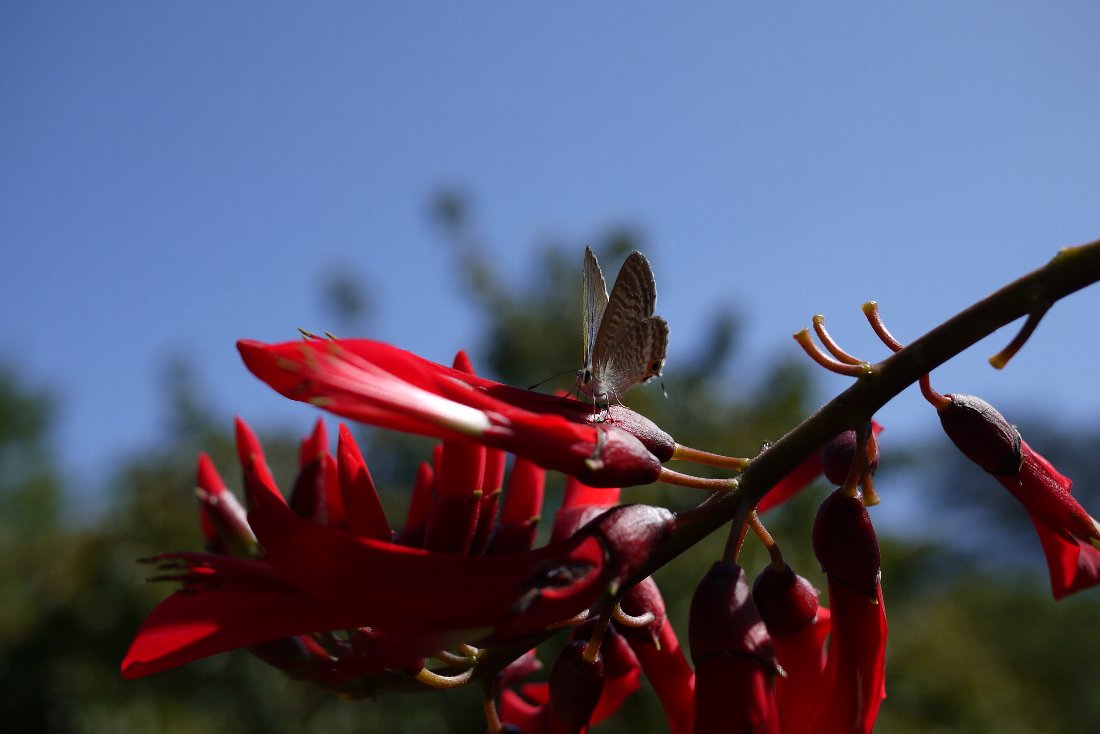 c0124795_04650.jpg