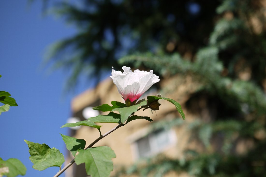 c0124795_07230.jpg