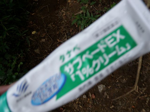 激しくもさわやかなり、高尾山陣場山トレイルランニング_d0122797_285348.jpg