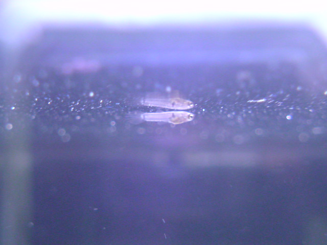 b0063999_34851.jpg
