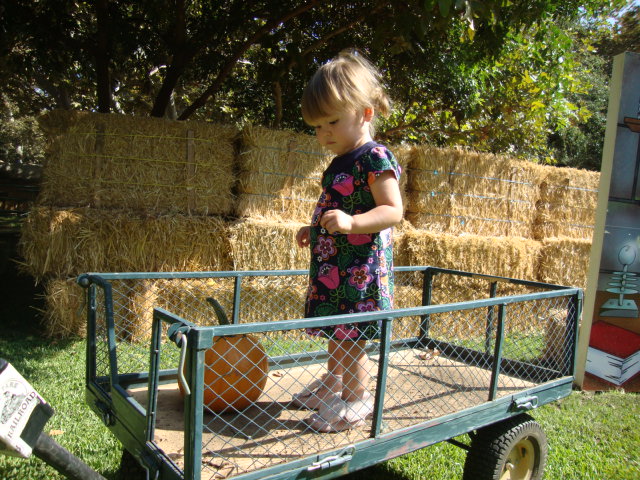 Pumpkin Patch of 2009_e0103700_12382034.jpg