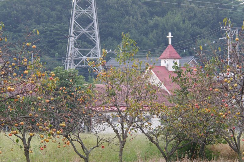 c0187503_9125610.jpg