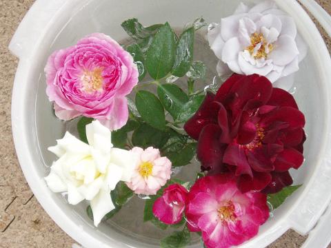 c0147909_18433310.jpg