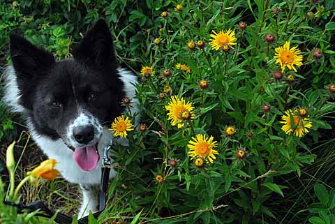 a0094015_5365927.jpg