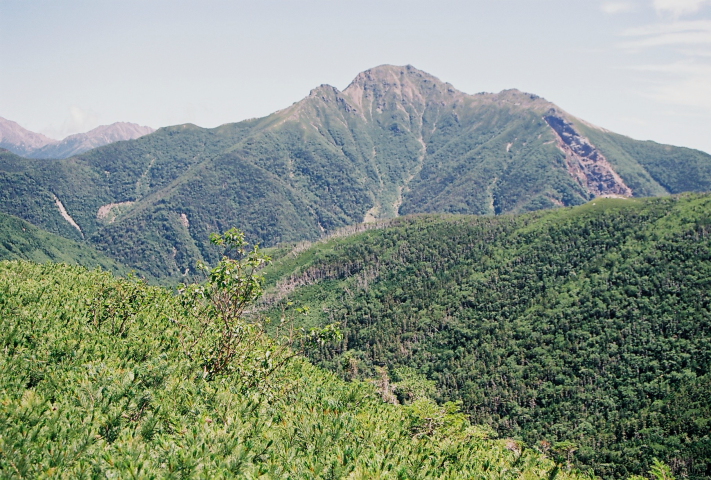 南アルプスの中央に位置する3000m峰とお花畑_a0113718_1140221.jpg