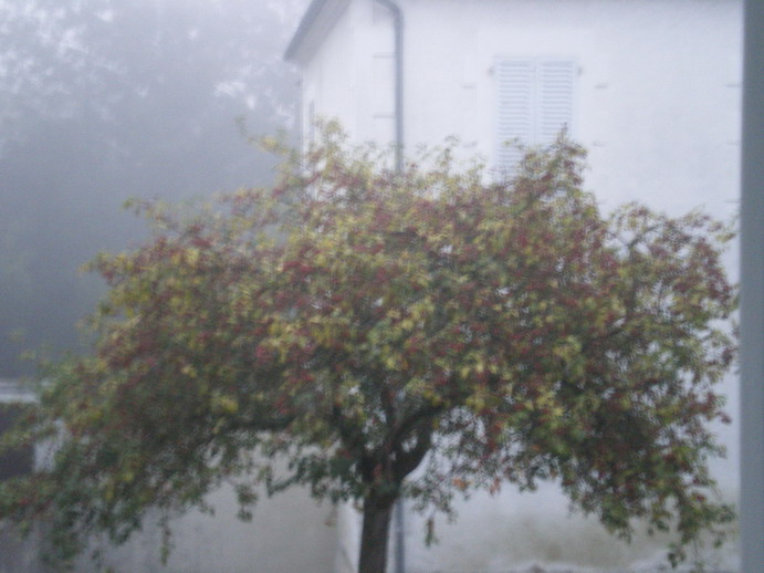 c0124619_175727.jpg