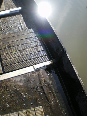 c0124619_2364251.jpg