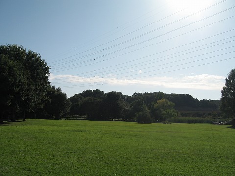 e0162524_073294.jpg