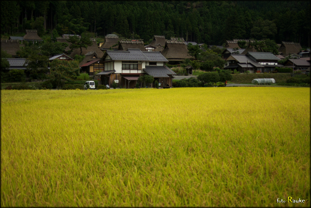 かやぶきの里／美山　-その２-_e0150228_2248233.jpg