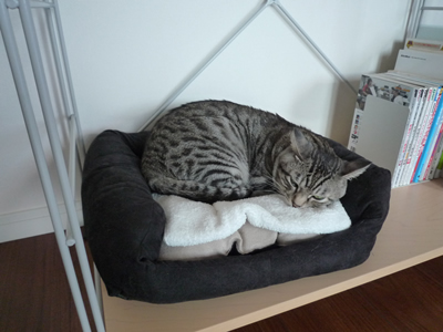 c0125532_1232275.jpg