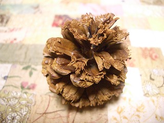 e0172144_050596.jpg