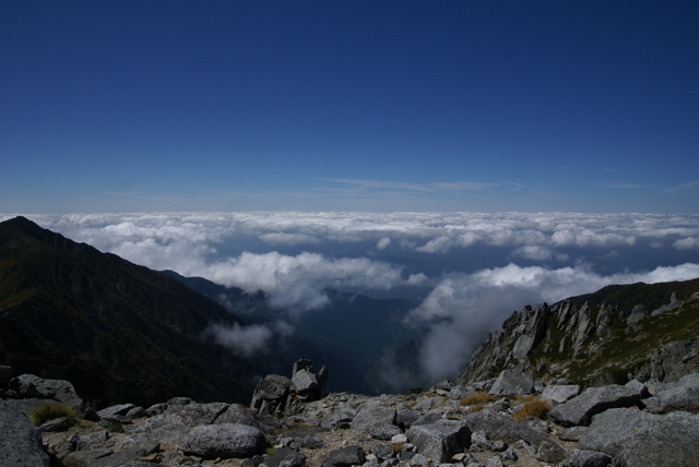 c0190847_2255075.jpg