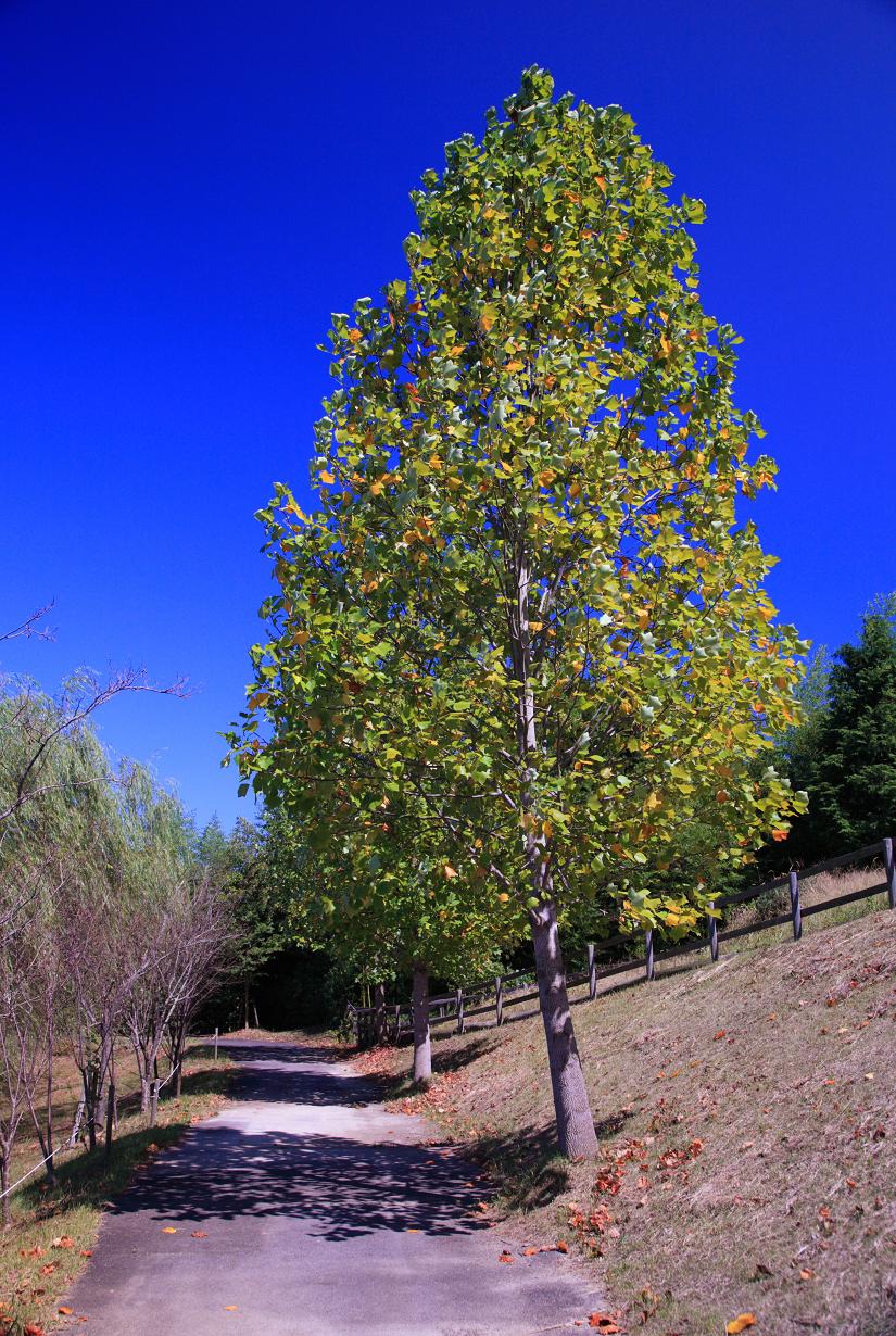 f0133847_19133.jpg