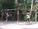 Bukit Timah Nature Reserve_a0074753_932944.jpg