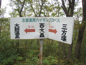 c0116856_131795.jpg