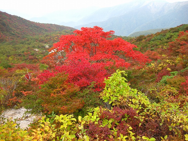 那須登山_d0089058_20383456.jpg