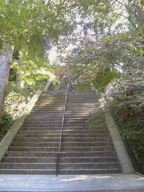 c0115560_20132184.jpg