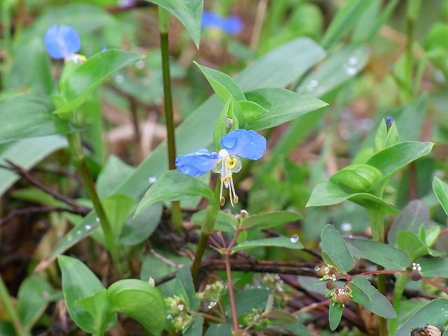 c0178561_21261915.jpg