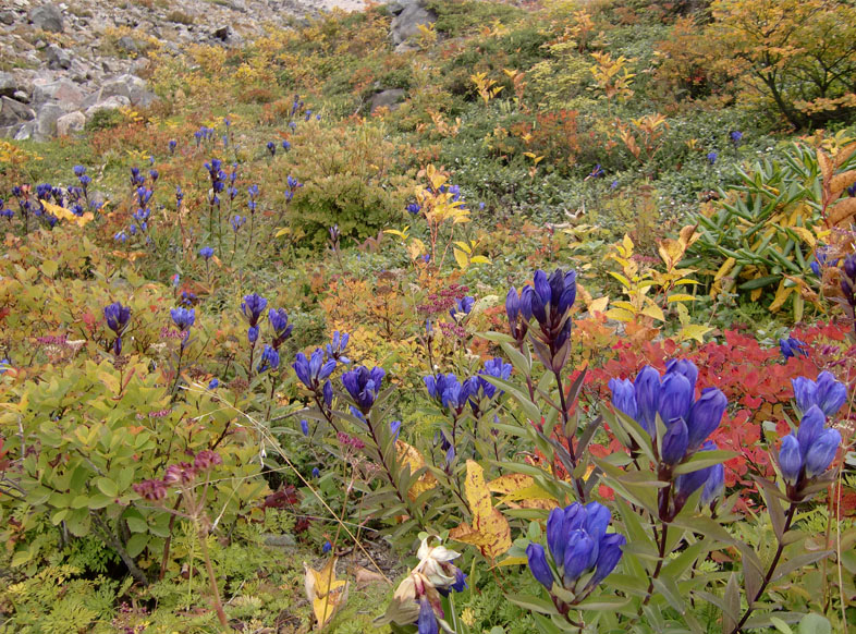 秋の那須登山〜茶臼岳〜_a0109467_144758.jpg