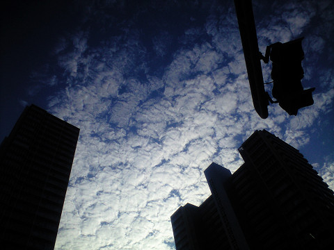 e0045768_22173819.jpg