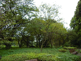 江戸城パート2_e0033570_22512246.jpg