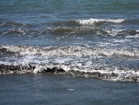 e0033570_85588.jpg