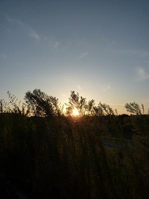 c0204675_23212.jpg