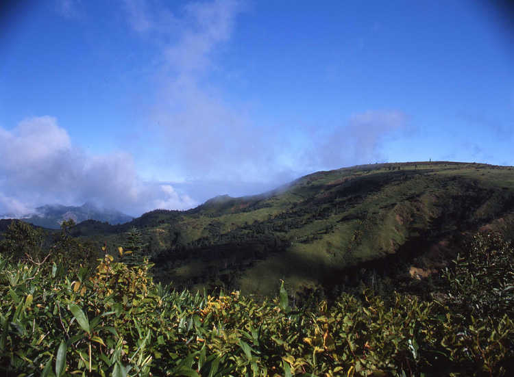 c0054876_16495945.jpg