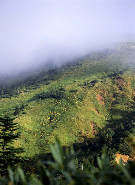 c0054876_16503056.jpg