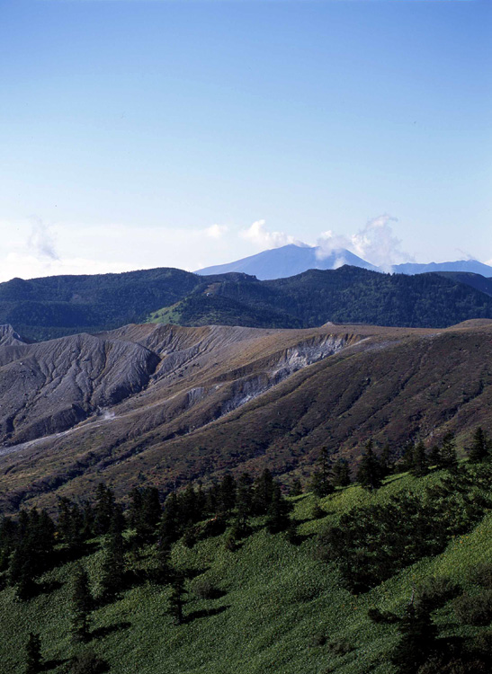 c0054876_16505422.jpg